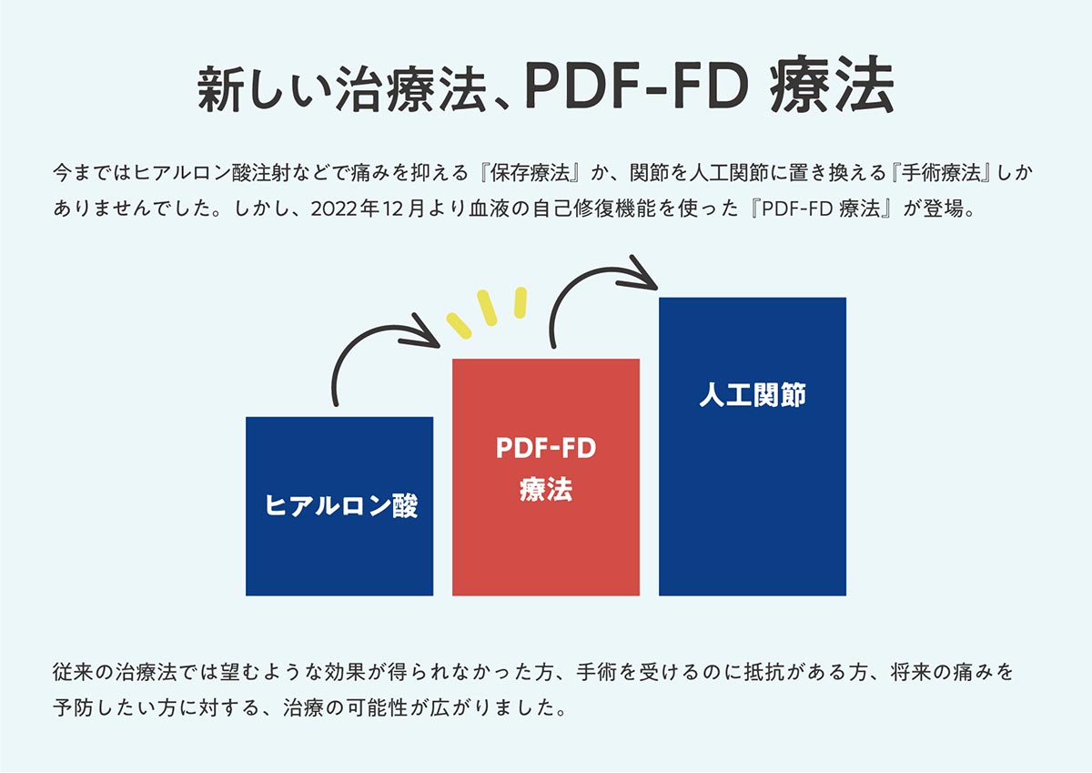 PDF-FD説明用2