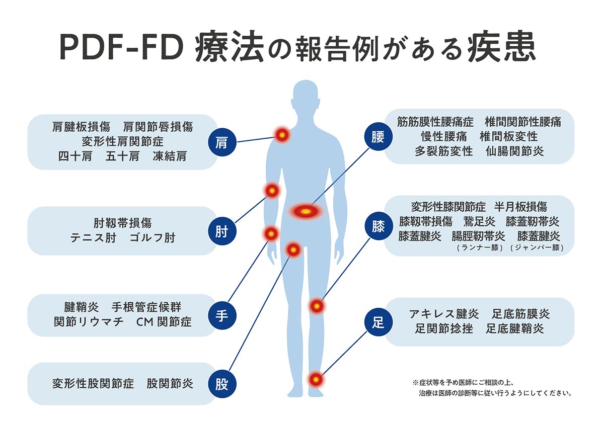 PDF-FD説明用5