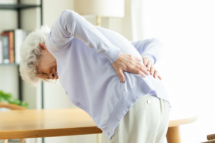 骨粗しょう症のイメージ写真