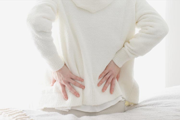 腰・背中のイメージ写真